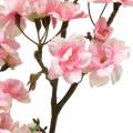 Floristik24 Cherry blossom branch pink 105cm