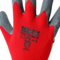 Floristik24 Kixx nylon garden gloves size 11 red, grey