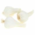 Floristik24 Artificial garlic cream 6cm 12pcs