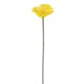 Floristik24 Artificial flowers Gerbera yellow 45cm