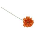 Floristik24 Artificial flowers Gerbera Orange 45cm