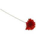 Floristik24 Artificial flowers Gerbera Red 45cm