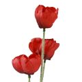 Floristik24 Artificial flowers poppy red 50cm