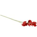 Floristik24 Artificial flowers poppy red 50cm