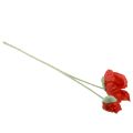 Floristik24 Artificial flowers poppy red 67cm
