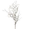 Floristik24 Artificial willow branch with buds brown spring L76cm
