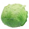 Floristik24 White cabbage Ø16cm