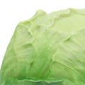 Floristik24 White cabbage Ø16cm