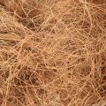 Floristik24 Coconut fibre natural plant fibre natural fibre craft material 1kg