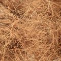 Coconut fiber natural plant fiber natural fiber craft material 1kg | Floristik24.ie
