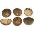 Floristik24 Coconut Deco Bowl Natural Polished 6pcs
