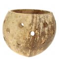 Floristik24 Coconut bowl polished with holes natural Ø9,5cm - Ø13cm 1p