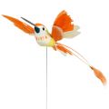 Floristik24 Hummingbird on wire to stick pink, orange 17cm 6pcs