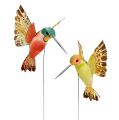 Floristik24 Hummingbird with wire 5.5cm L22cm assorted 12pcs