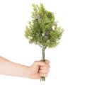 Artificial conifer branch with cones as artificial table decoration, 39cm, 4 pieces | Floristik24.ie