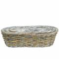 Floristik24 Planting basket, oval, natural, washed white 37/43 / 49cm, set of 3