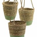 Floristik24 Hanging basket, natural basket, planter for hanging natural, green Ø19/17/15cm set of 3