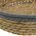 Basket tray round, natural plant bowl, decorative tray braided nature Ø33/30/25cm H8/7cm set of 3