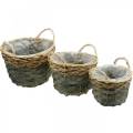 Floristik24 Plant basket, woven basket for planting, round flower basket natural, gray Ø29 / 23.5 / 18cm, set of 3