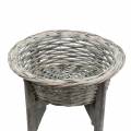 Floristik24 Wicker bowl with wooden stand grey, washed white Ø33cm