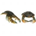 Floristik24 Deco crab and lobster 11cm - 15cm