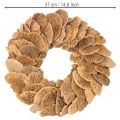 Tree fungus wreath, natural color, for door or wall decoration, 37cm | Floristik24.ie