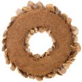 Tree fungus wreath, natural
