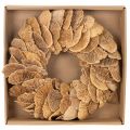 Tree fungus wreath, natural