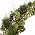 Floristik24 Christmas wreath drying wreath oak card thistle Ø45cm