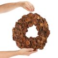Dried Lotus Wreath, Decorative Door Wreath, 35cm | Floristik24.ie