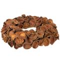 Dried Lotus Wreath, Decorative