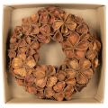 Dried Lotus Wreath, Decorative