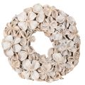 Floristik24 Wreath with Lotus Blossom, Natural Decoration, Dried Flowers, 35cm