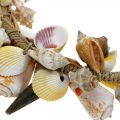 Floristik24 Decorative wreath shells and snails natural maritime decoration Ø30cm
