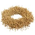 Boho decorative wreath, flax decorative wreath, natural wreath, dry, Ø28cm | Floristik24.ie