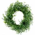 Floristik24 Wreath eucalyptus green Ø36cm