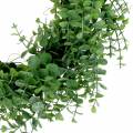 Floristik24 Wreath eucalyptus green Ø36cm