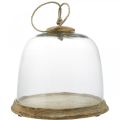 Floristik24 Glass bell with wooden plate, cake bell with jute handle H19cm Ø22.5cm