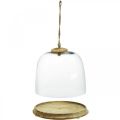 Floristik24 Glass bell with wooden plate, cake bell with jute handle H19cm Ø22.5cm