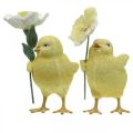 Floristik24 Happy Easter chicks, chicks with flowers, Easter table decorations, decorative chicks H11/11.5cm, set of 2