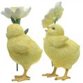 Floristik24 Happy Easter chicks, chicks with flowers, Easter table decorations, decorative chicks H11/11.5cm, set of 2