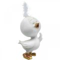 Floristik24 Happy Easter chick, duck with feather, Easter decoration chick white, golden H14cm