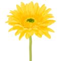 Floristik24 Artificial Gerbera Flowers, Sunny Yellow, Garden Flower, 47cm, 6 Pieces