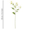 Artificial Gloriosa flower, white and yellow, elegant flowering branch for decoration, 80cm, 3 pieces | Floristik24.ie