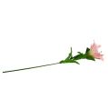 Floristik24 Artificial lily Pink Real Touch 100cm