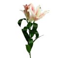 Floristik24 Artificial Lily Pink with Real Touch 100cm