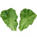 Floristik24 Deco lettuce Artificial lettuce leaves lettuce food replica 16×11cm