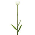 Floristik24 Artificial tulips white-green 86cm 3pcs