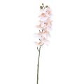 Floristik24 Artificial Orchid Pink Phalaenopsis Real Touch 58cm
