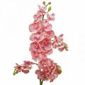 Floristik24 Artificial orchids deco artificial flower orchid pink 71cm